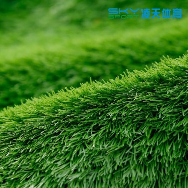 广州EVO视讯体育：仿真塑胶草
